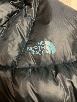 Plumas The North Face Azul/Teal
