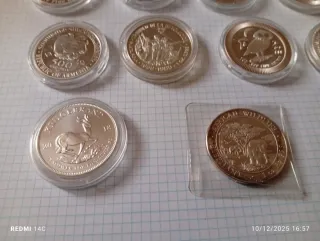 Onzas de Plata Coleccionables
