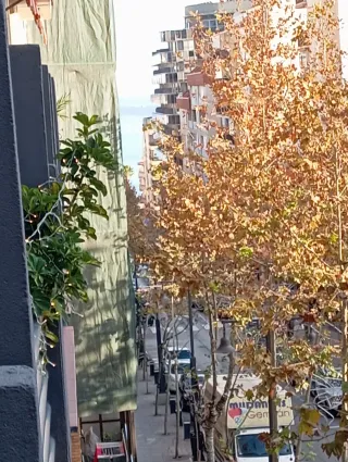 Apartamento 1 dormitorio