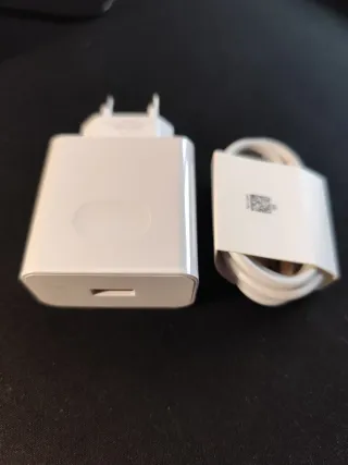 Caricabatterie rapido 66W + Cavo USB-C 1m