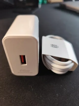 Caricabatterie rapido 66W + Cavo USB-C 1m