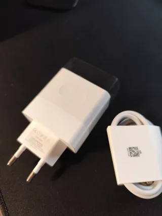 Caricabatterie rapido 66W + Cavo USB-C 1m