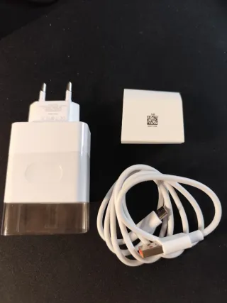 Caricabatterie rapido 66W + Cavo USB-C 1m