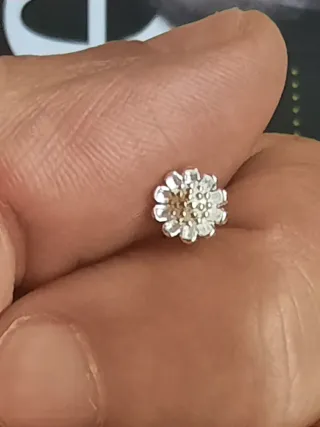 Pendientes plata con detalle flor