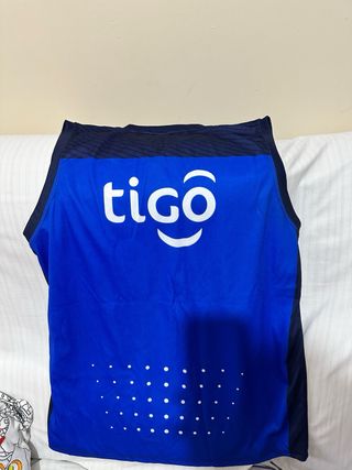 Camiseta Entrenamiento Paraguay Puma Talla M