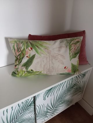 Funda de cojín para riñones