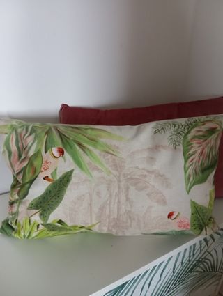 Funda de cojín para riñones