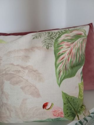 Funda de cojín para riñones