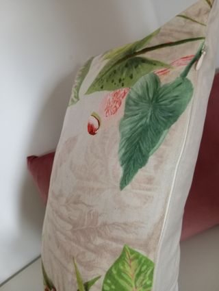 Funda de cojín para riñones