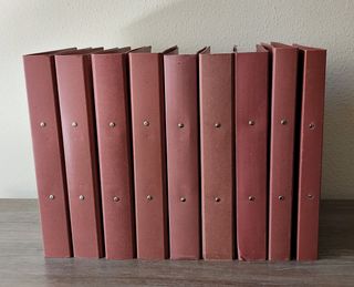 ARCHIVADORES CARPETA CARTON 2 ANILLAS