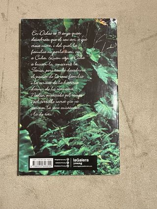 Adormit sobre els miralls