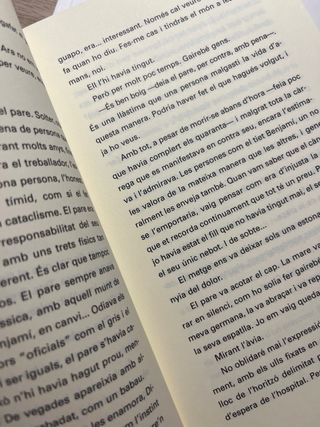 Adormit sobre els miralls