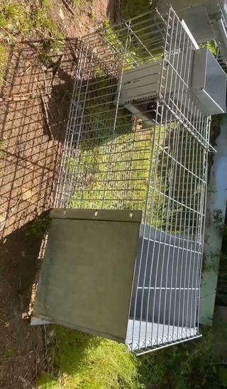 Gabbie metalliche per animali