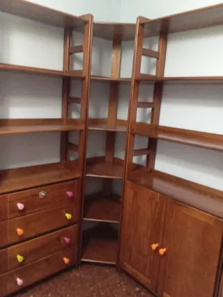 Muebles de habitación y estudio con estanterías.