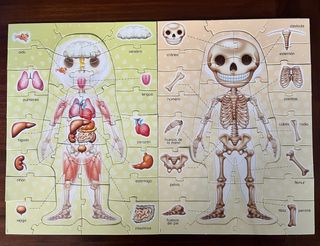 El cuerpo humano Educa Puzzle 99 piezas