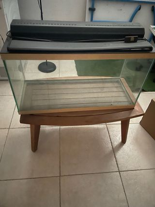 Pecera de cristal con tapa