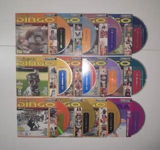 Lote CDs Micro Dingo