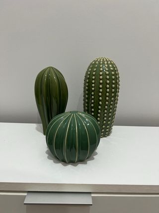 Conjunto de 3 Cactus Decorativos