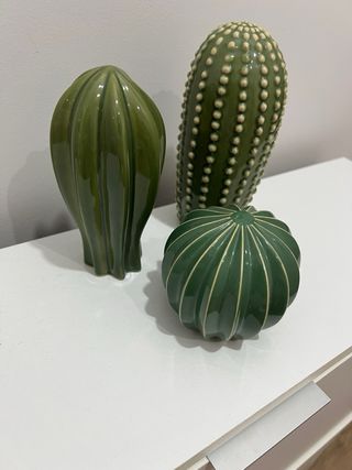 Conjunto de 3 Cactus Decorativos