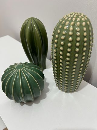 Conjunto de 3 Cactus Decorativos