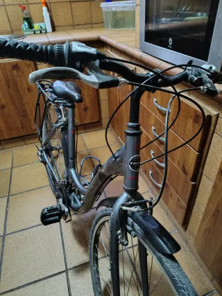 Bicicleta Trek 1976 Coleccionista