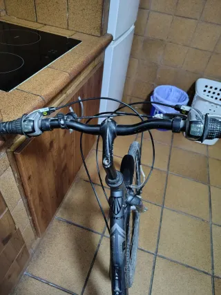 Bicicleta Trek 1976 Coleccionista