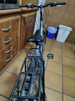 Bicicleta Trek 1976 Coleccionista