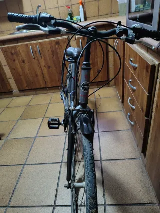 Bicicleta Trek 1976 Coleccionista