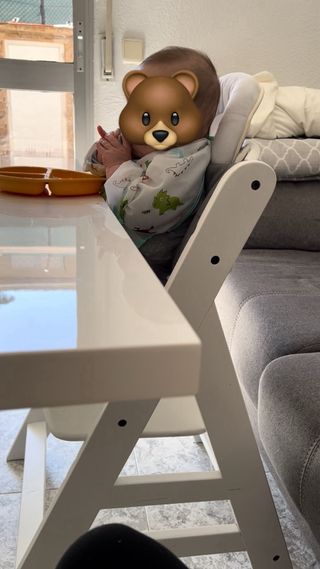 Trona Hauck Evolutiva 0+