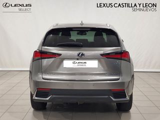Lexus NX 300H EXECUTIVE NAVIGATION 4WD