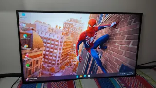 Monitor Panasonic 43" LED Full HD