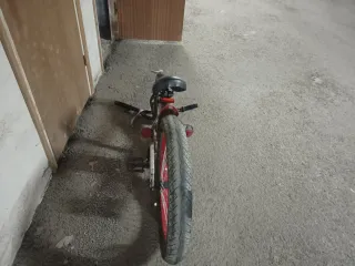 Remolque infantil WeeRide Copilot