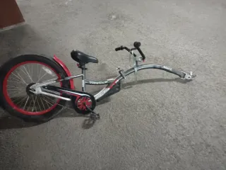 Remolque infantil WeeRide Copilot