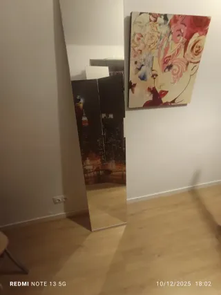 Espejo Puerta Armario