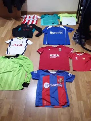 Lote de camisetas deportivas