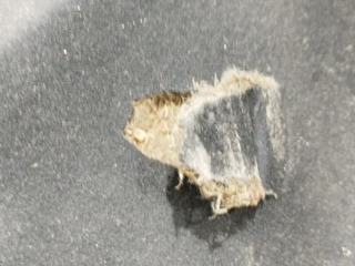 CAPO MG ROVER ROVER 200 (RF)