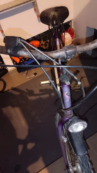 Bicicleta mujer morada