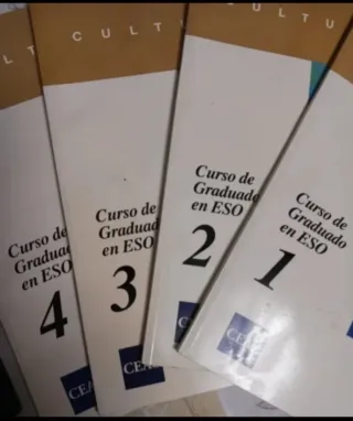 Temario Curso de graduado en ESO