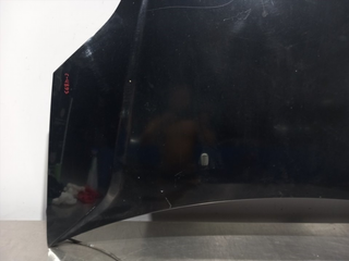 CAPO FORD FIESTA (CBK)