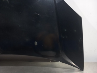 CAPO FORD FIESTA (CBK)