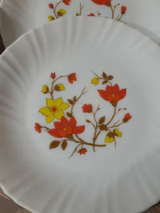 6 Platos Vintage Arcopal Flores 70s