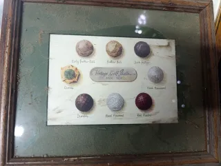 2 Cuadros Florales Vintage