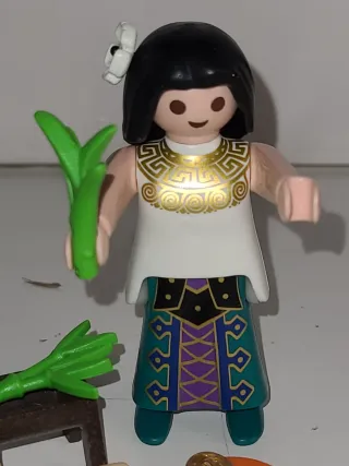 Lote 9. Verduleria Playmobil