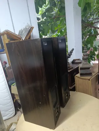 Altavoces Technics Marrones