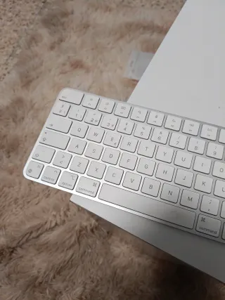 Teclado Apple Magic A2450