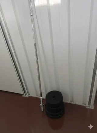 Barra recta con discos de pesas