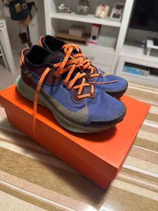 Zapatillas Trail Nike Pegasus 2 Goretex Talla 40