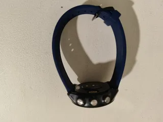 Garmin Forerunner 245 Negro/Azul