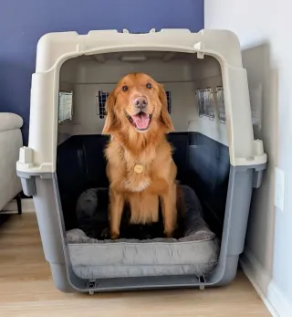 Transportín Perro XXL Gris y Blanco