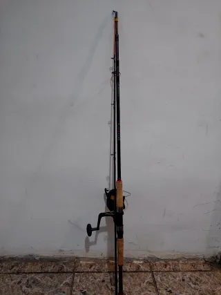 Caña de pescar spinning con carrete